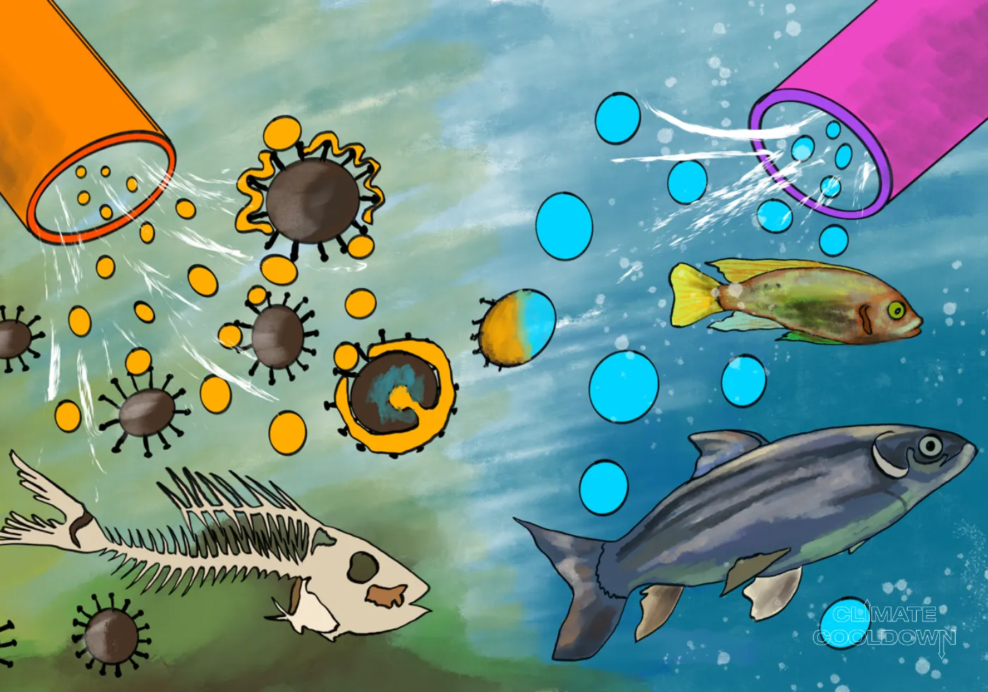 Illustrated ocean scene with microorganisms and plants breaking down marine pollution