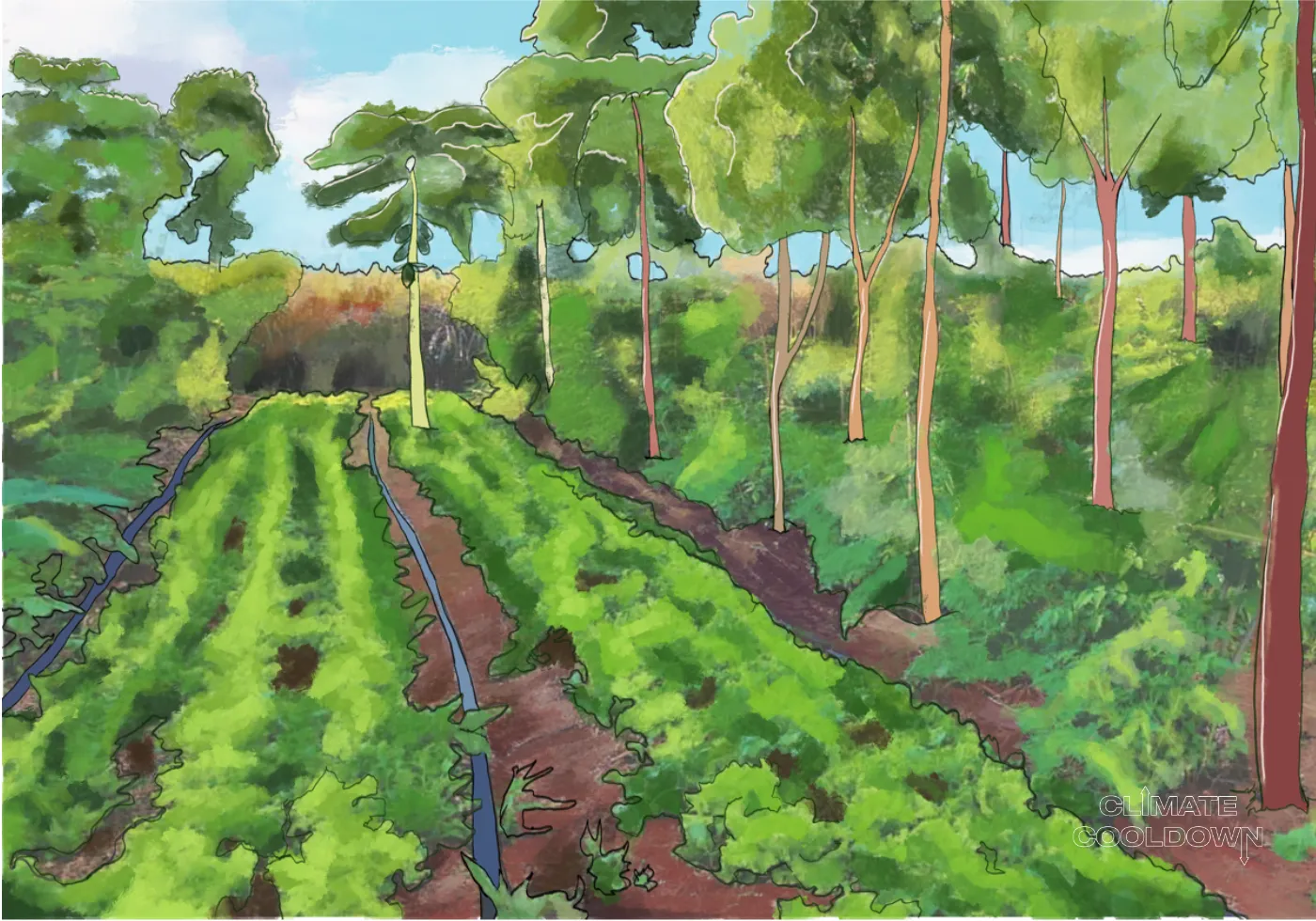 Illustrated farm using cover crops and healthy soil practices to restore the land