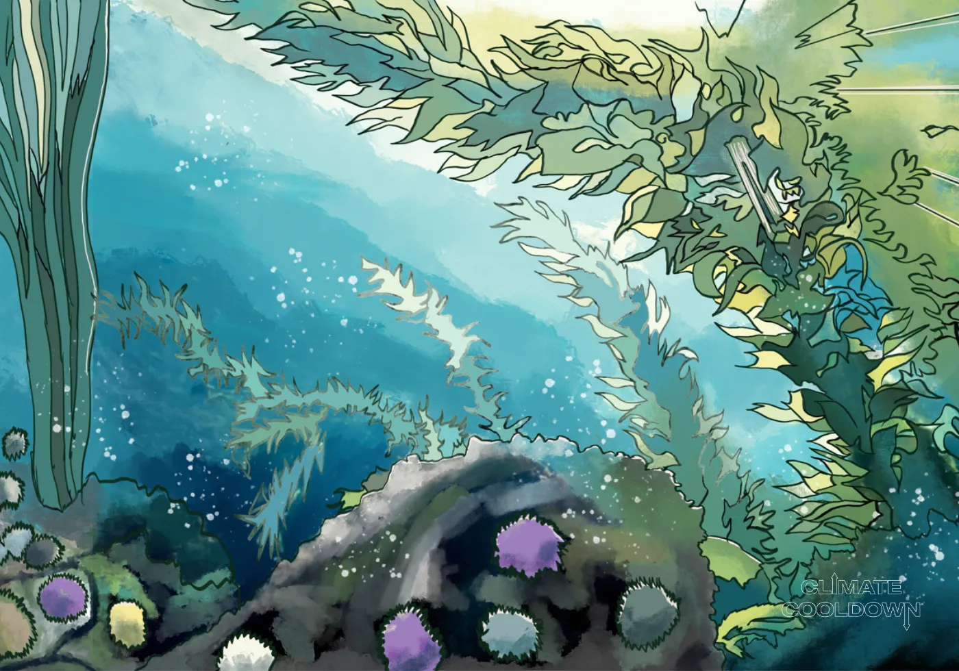 Illustrated underwater scene with seagrass meadows and kelp forests growing along the seabed